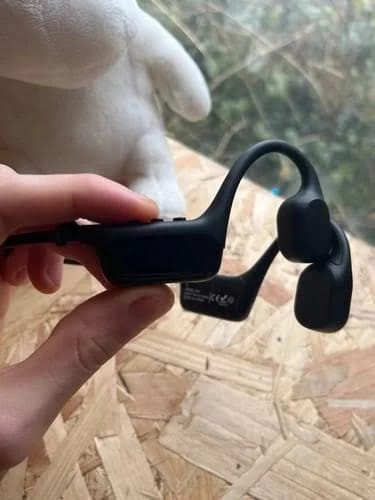 Customer photo review of AudiEar - Earphones