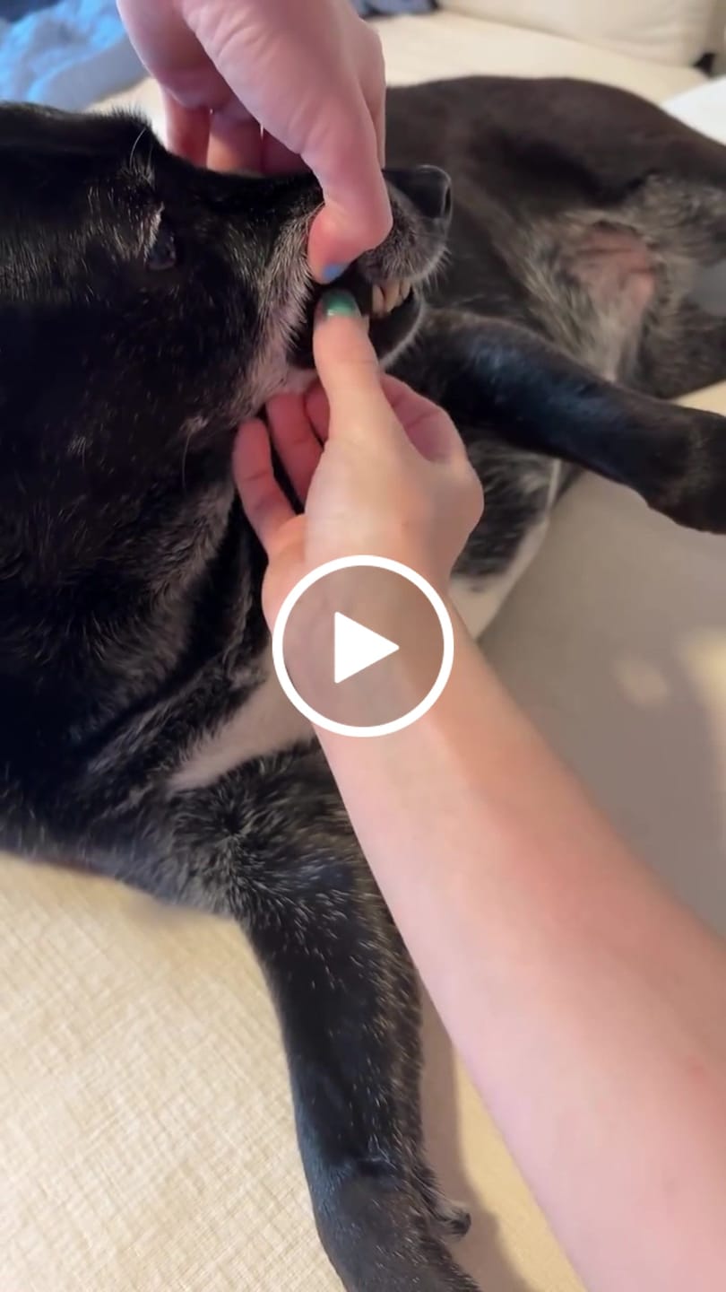 Customer video review of DENTAL STRIPS