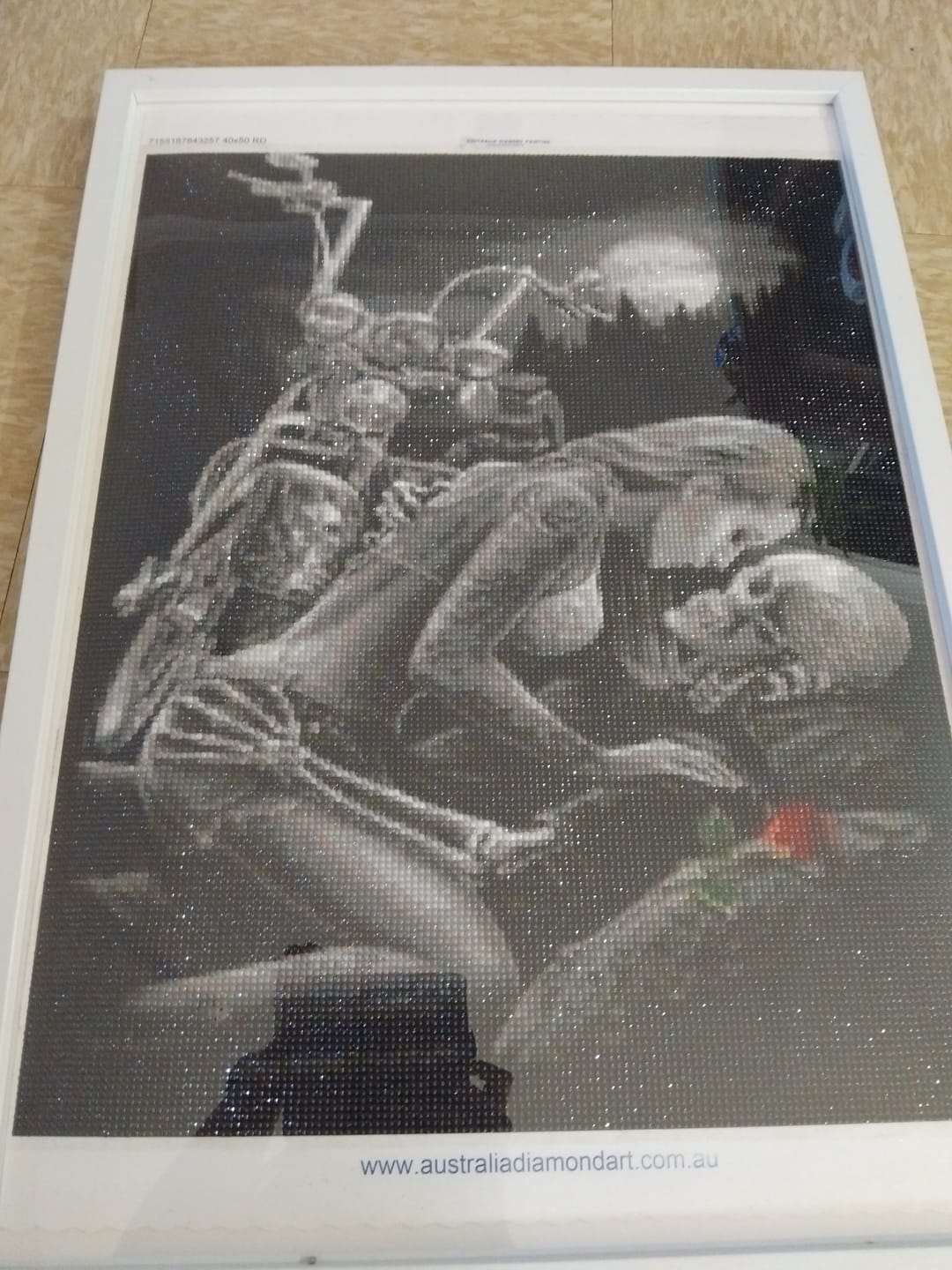 Customer photo review of Full Drill - 5D DIY Diamond Painting Kits Sexy Black And White Skull and Beauty