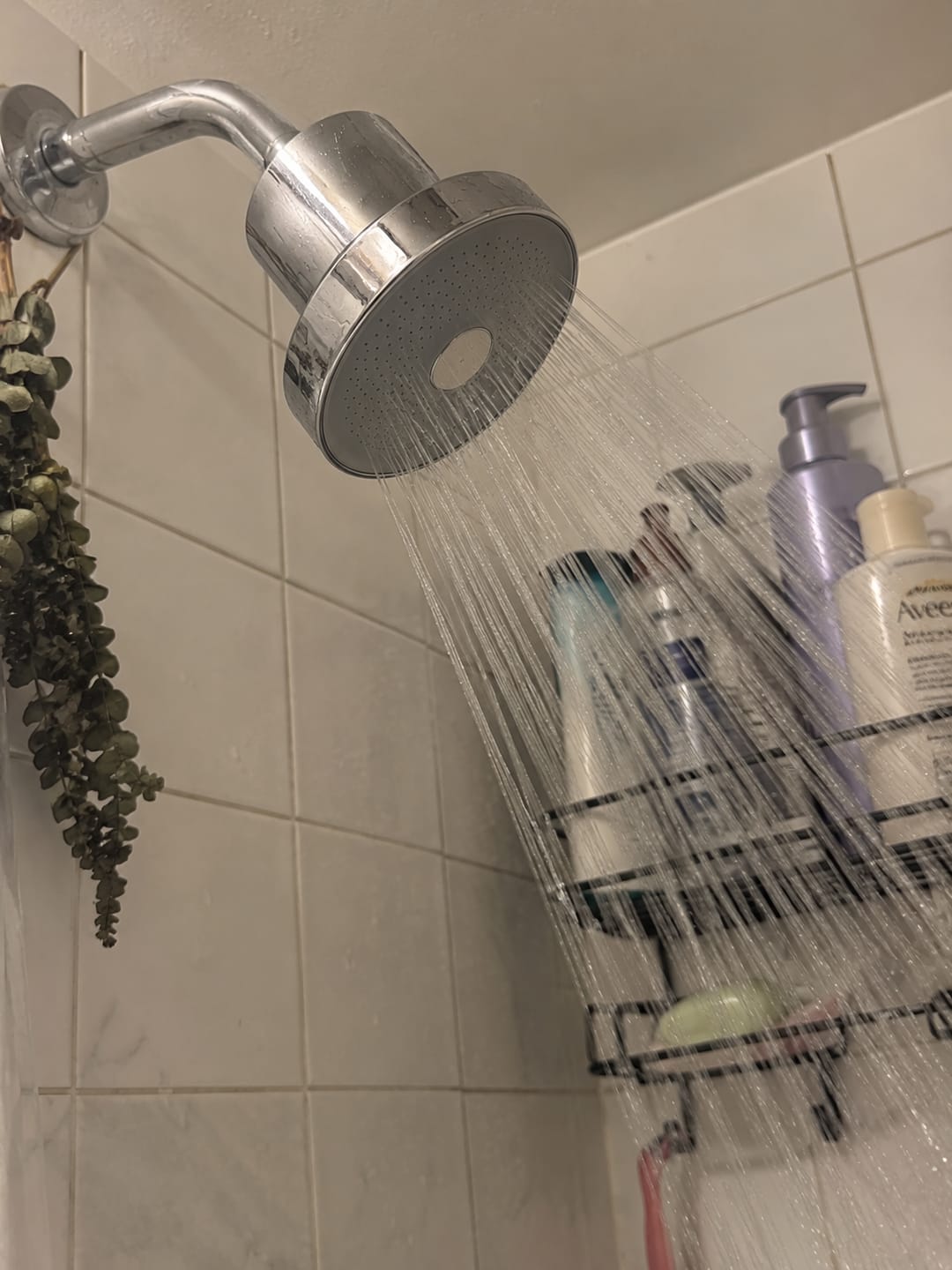 Customer photo review of NuvoDreams™ Skin & Hair Purifier