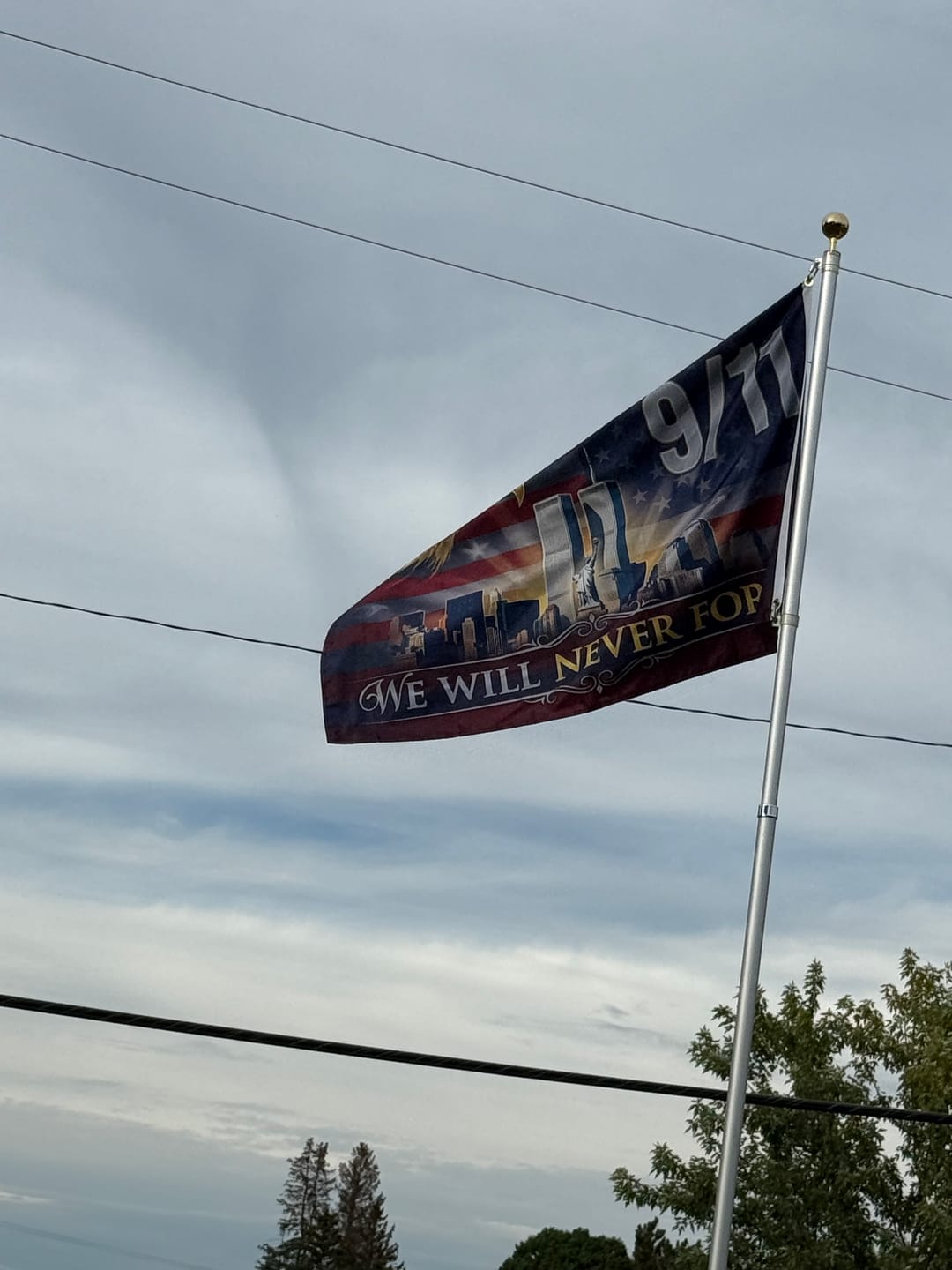 Customer photo review of 9/11 We Will Never Forget Eagle Flag
