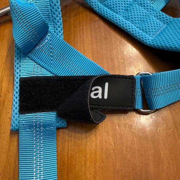 Customer photo review of DOGSPOKE™ RestEasy No Pull Dog Harness