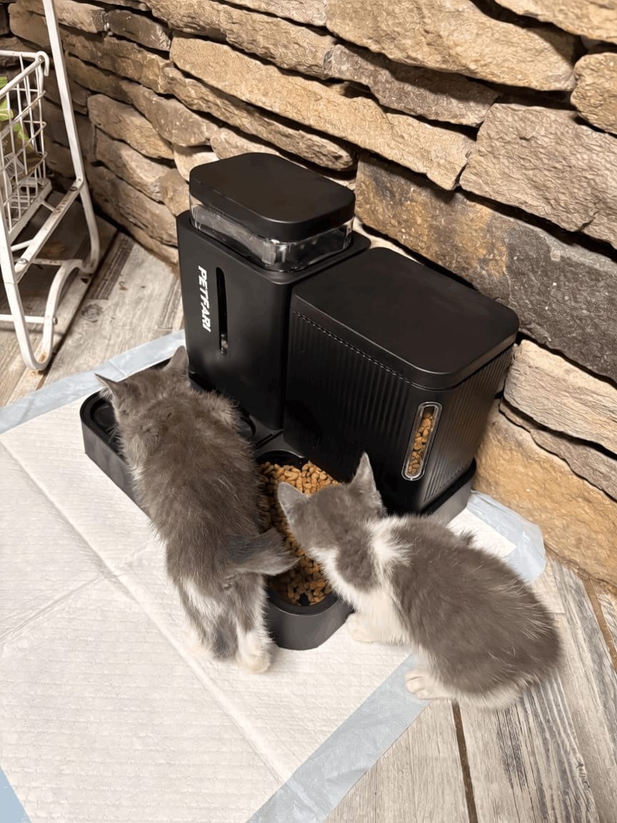 Customer photo review of Futter- & Wasserspender DuoFlow