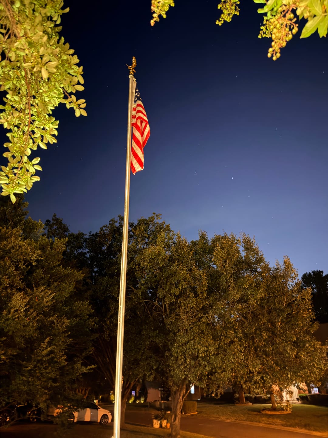 Customer photo review of 3' x 5' American Flag