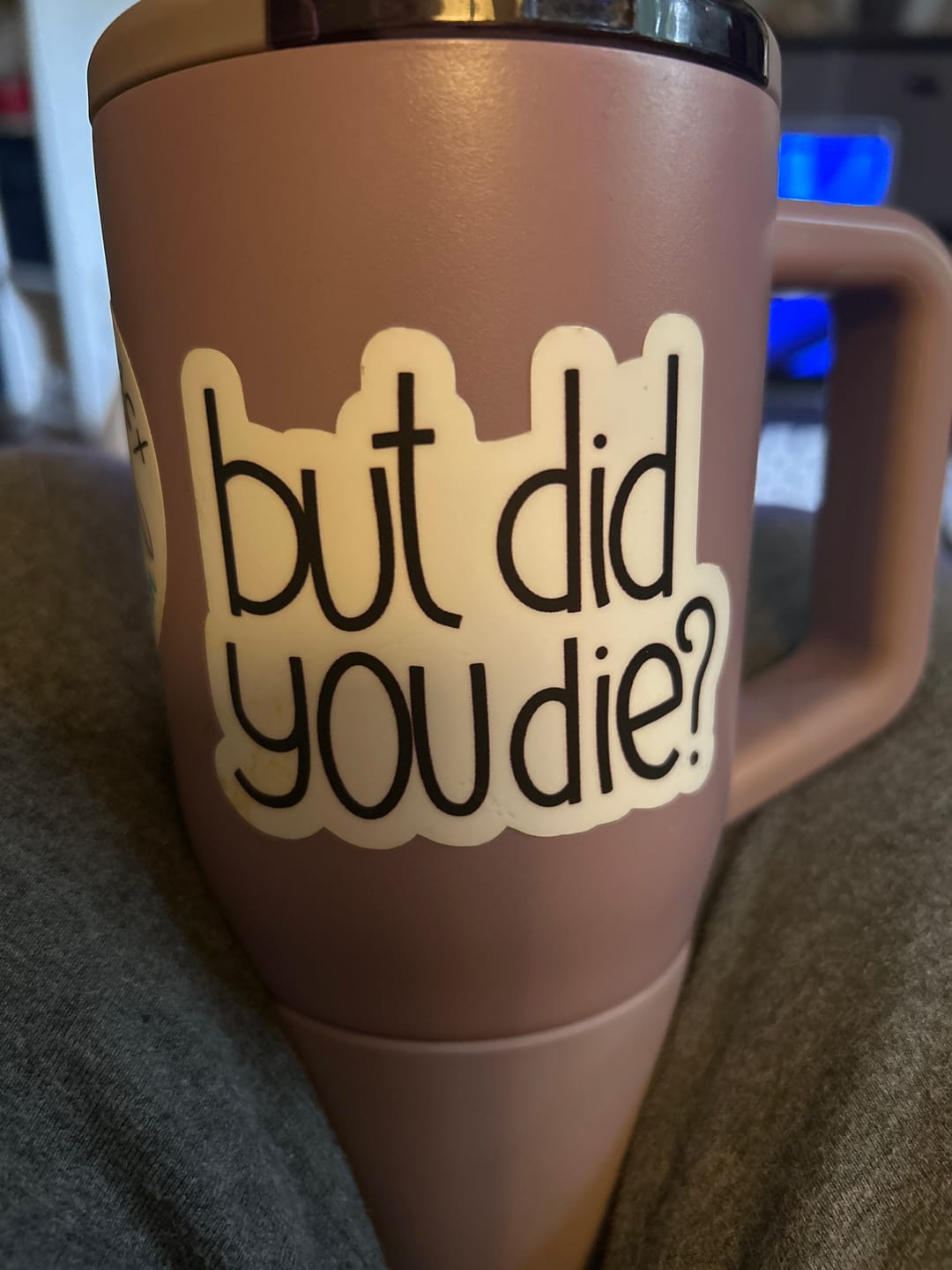 Customer photo review of But Did You Die? Sarcasm Sticker