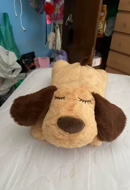 Customer photo review of Peluche con Latido para Perros
