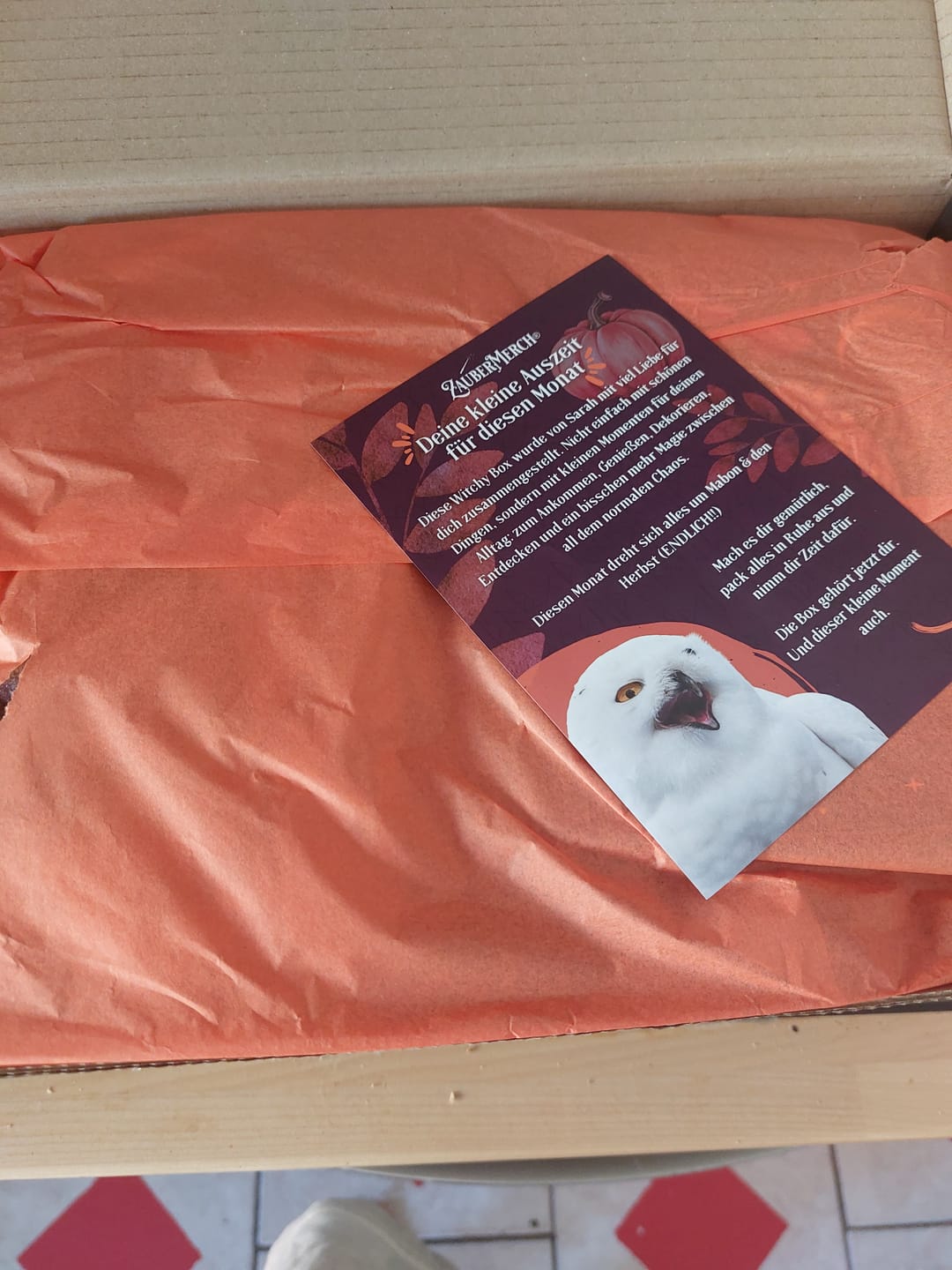 Customer photo review of Packaging