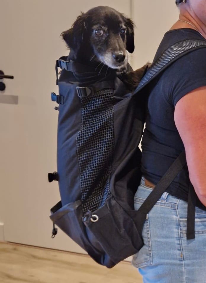 Customer photo review of PawPack - Ergonomische Hondendraagzak Rugzak