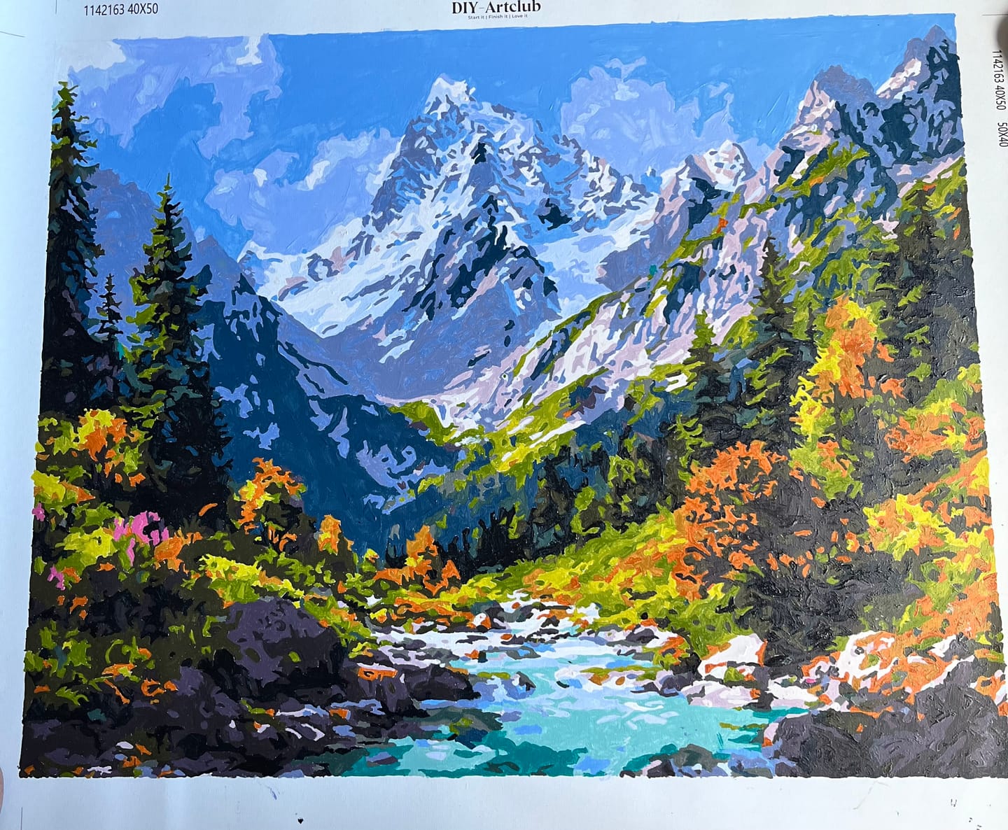 Customer photo review of Source of nature | Paint by Number
