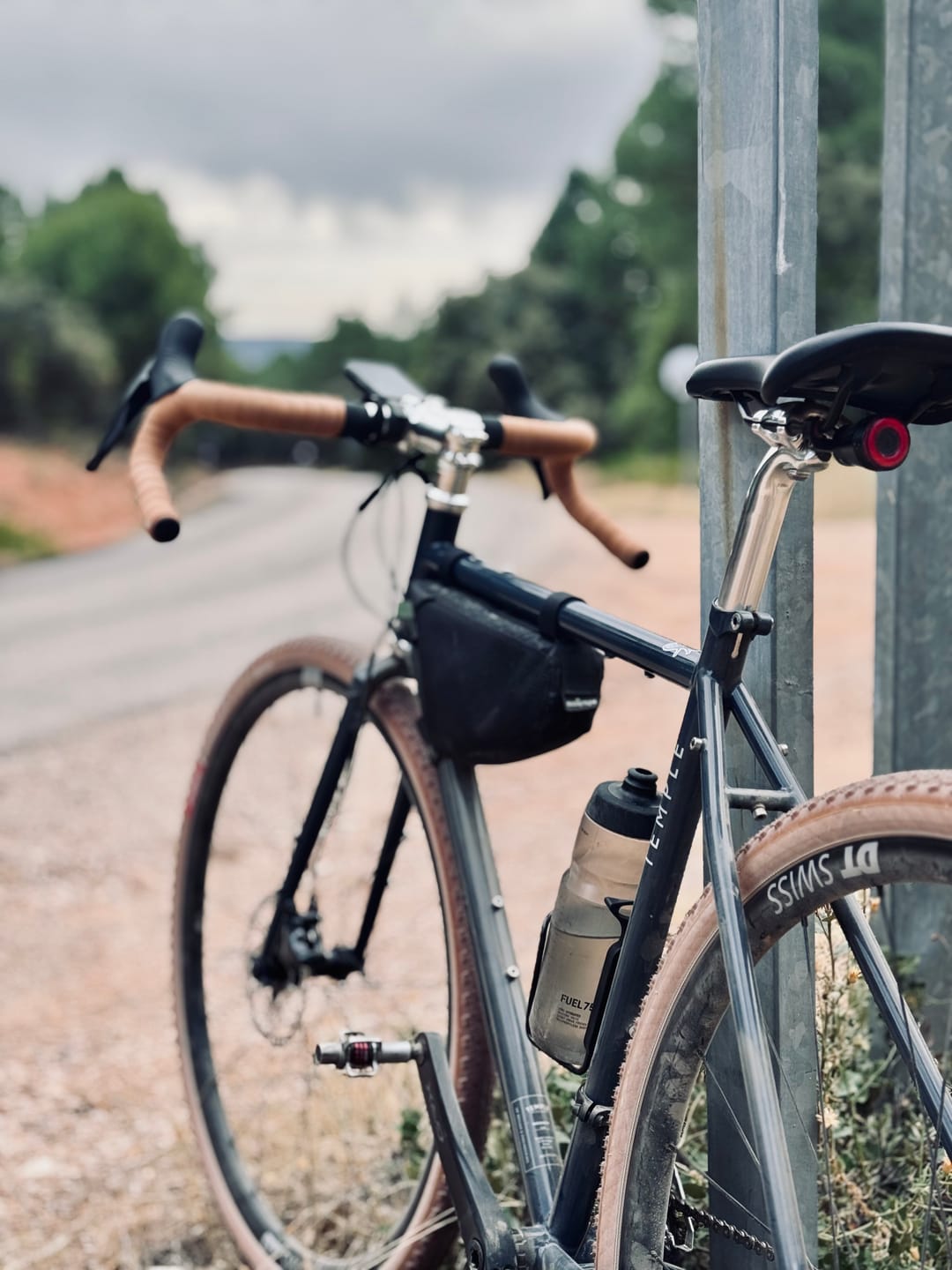 Customer photo review of Adventure Disc MK3 Frameset