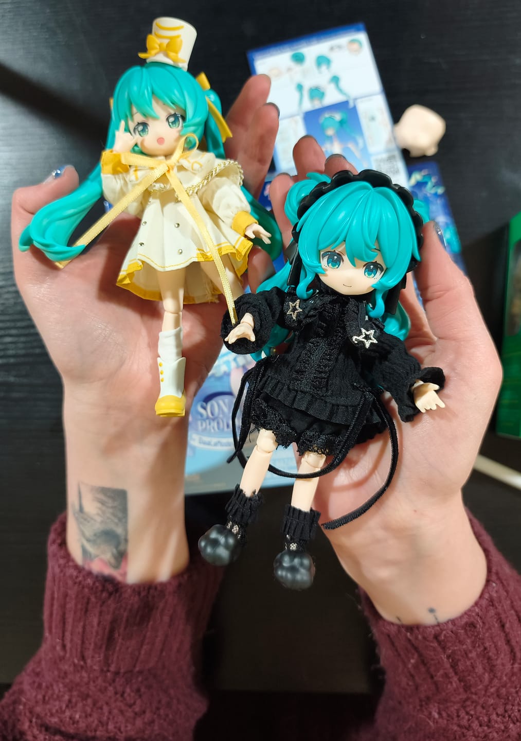 Customer photo review of Figura Sorpresa - Hatsune Miku - DaaLaMode Series 01 Sonata Prologue - Model Kit - BLOKEES