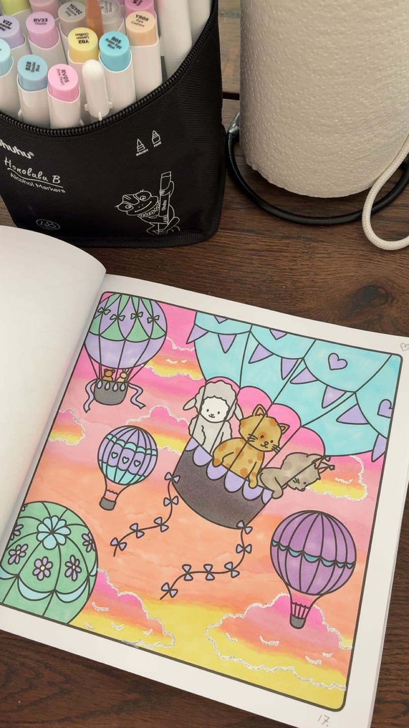 Customer photo review of Ohuhu Honolulu 48 Pastel Colors Dual Tips Alcohol Art Markers-Sweetness (New Color Codes)