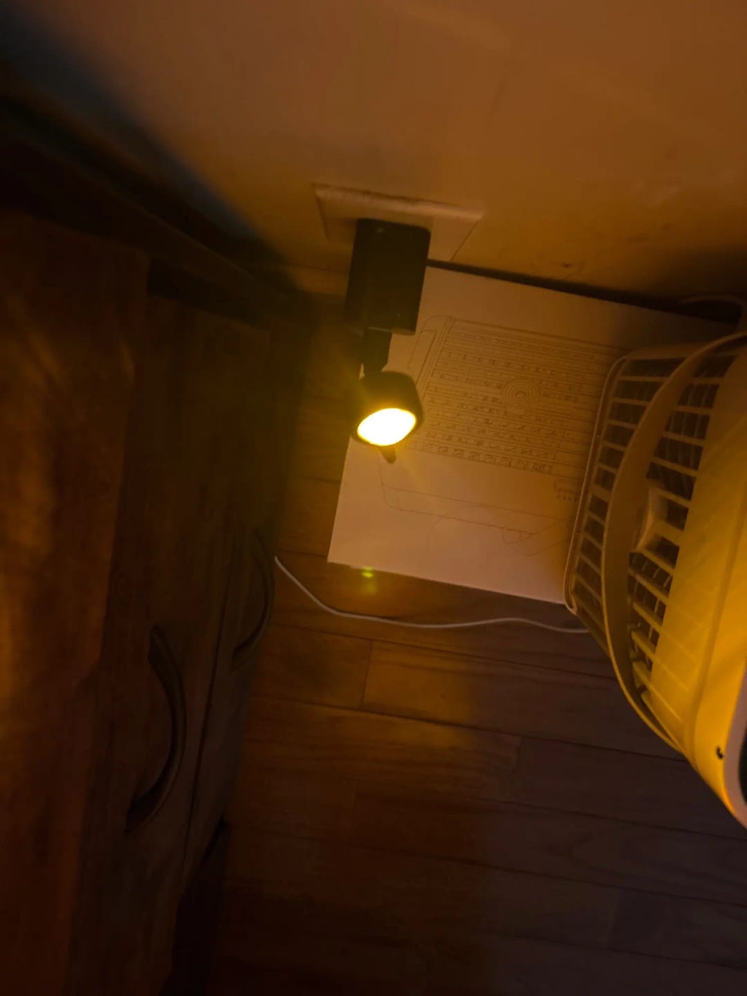 Customer photo review of Sunset Projection Lamp