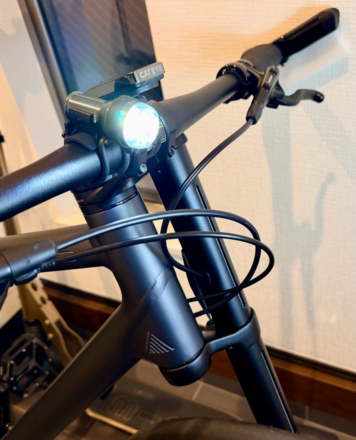 Customer photo review of Trace 4 Front Light