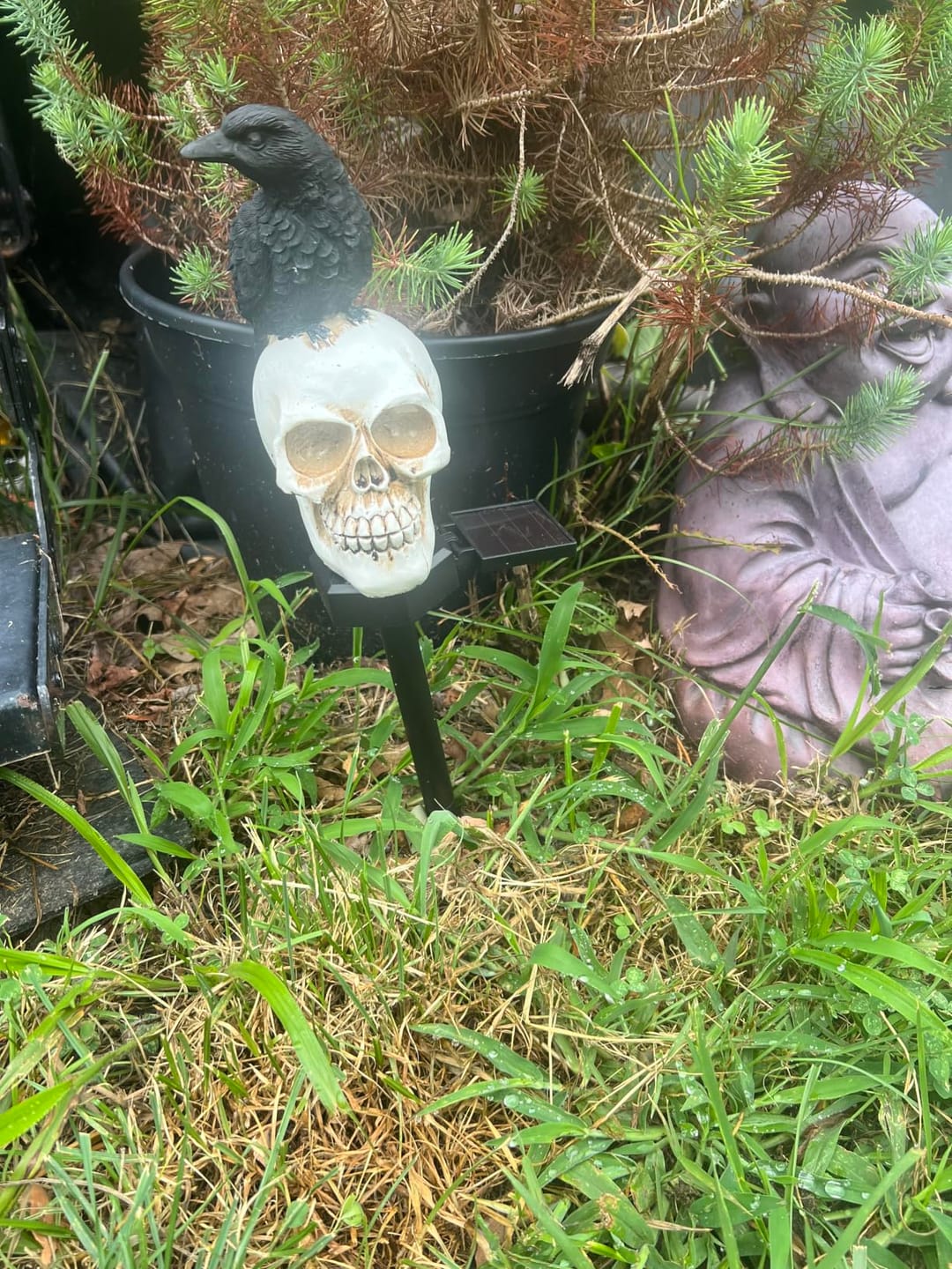 Customer photo review of Halloween Crow Skull Solar Light™