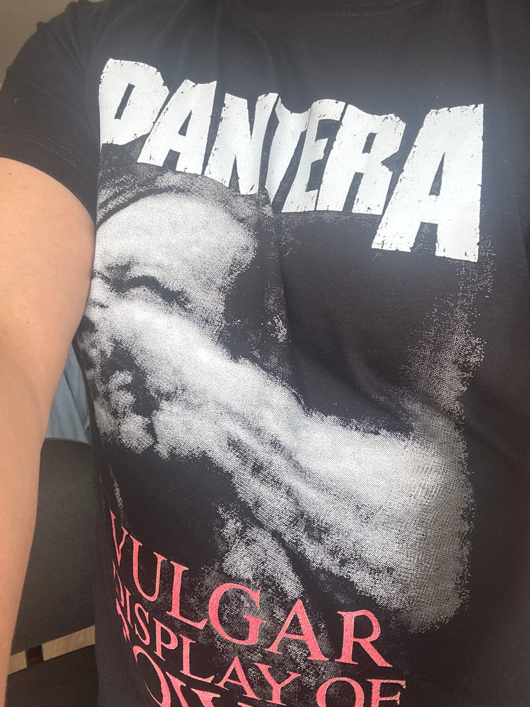 Customer photo review of Camiseta Pantera Vulgar Display of Power