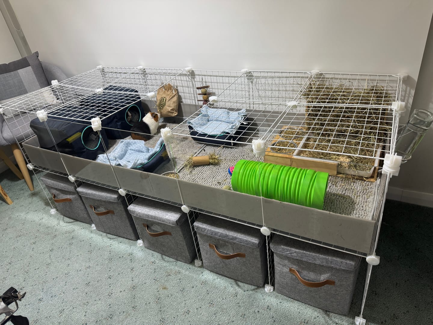 Customer photo review of Ozzy Cages 2x5 C&C Enclosure - Clear Sided