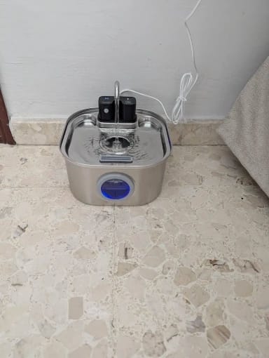 Customer photo review of 3.2L Pet Water Fountain – Wireless or Plug-In Options