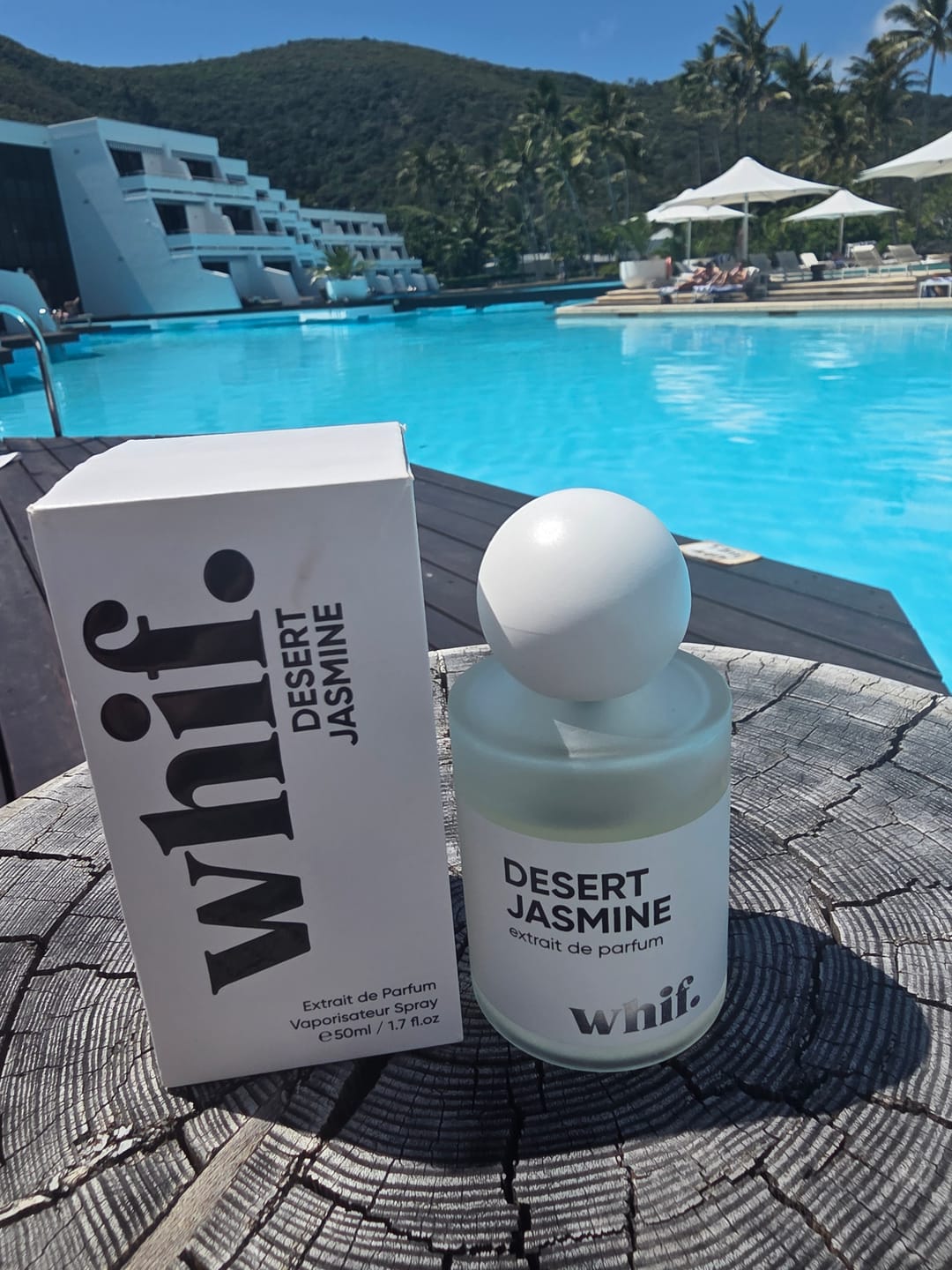 Customer photo review of Desert Jasmine