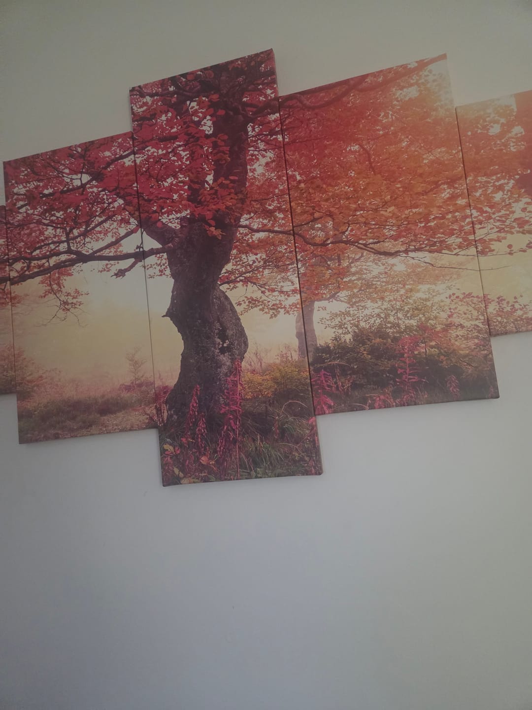 Customer photo review of Autumn Foliage
