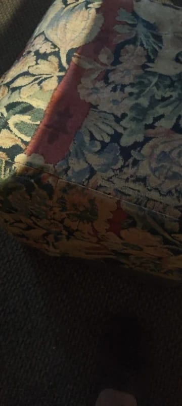 Customer photo review of Comedero ortopédico - Gato
