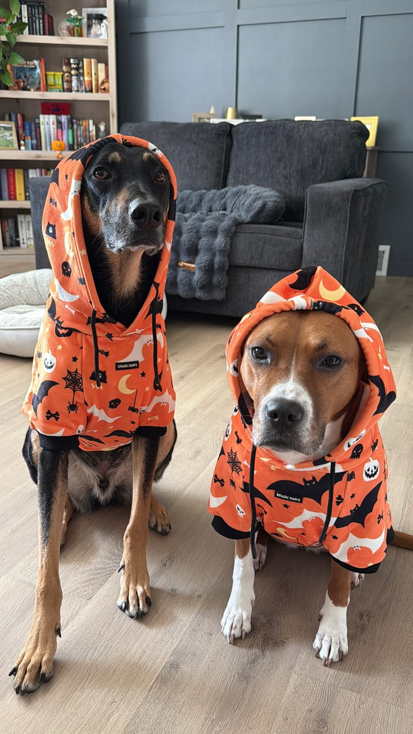 Customer photo review of Halloween Dog Hoodie - Orange (2)
