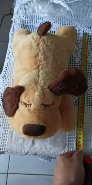 Customer photo review of Peluche con Latido para Perros