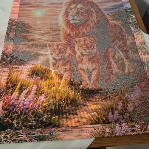 Customer photo review of 5D Diamond Painting – Lion Family Sunset