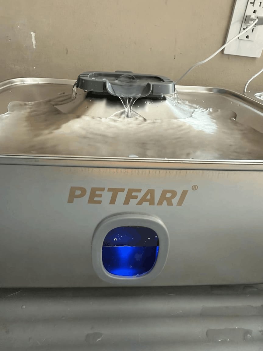 Customer photo review of Trinkbrunnen AquaFlow 15L
