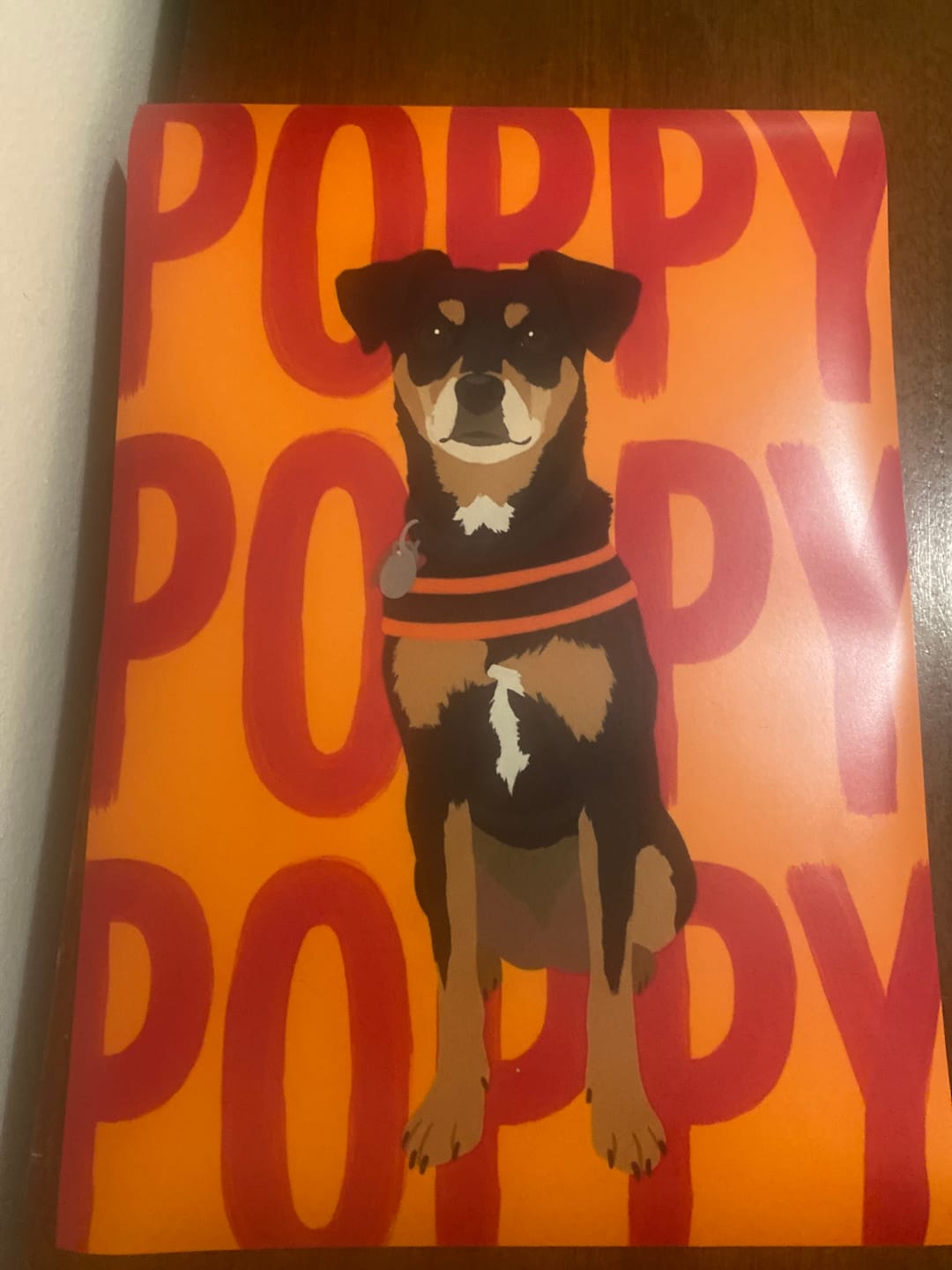 Customer photo review of Personalisiertes Poster - Big Name