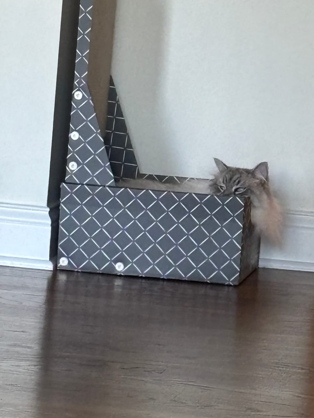 Customer photo review of 26" L Shaped Cat Scratcher Box and Cat Bed with Double-Sided Cardboard Cat Scratch Pad