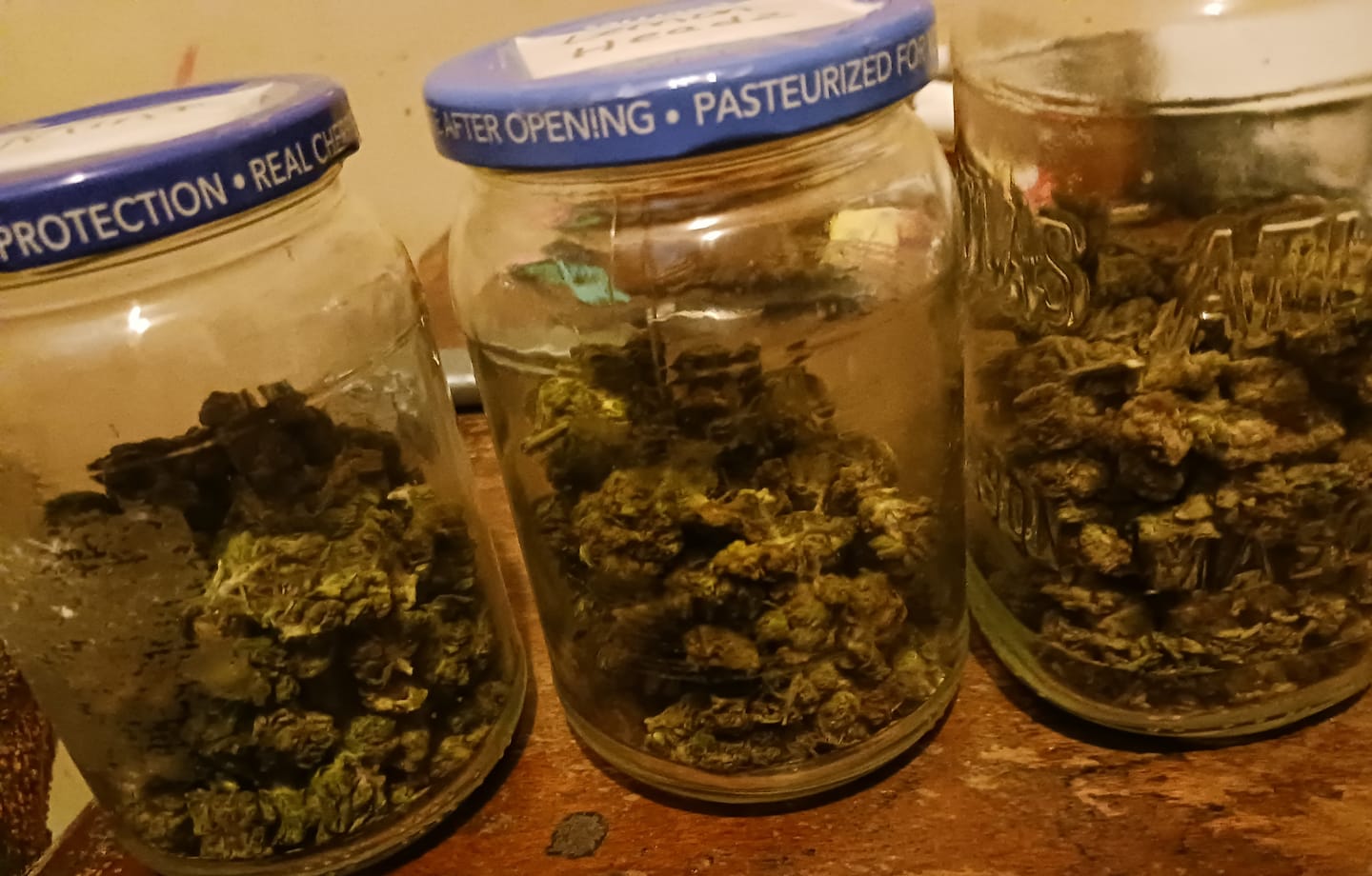 Customer photo review of Glitter Bomb (Exotic) - THCA Flower