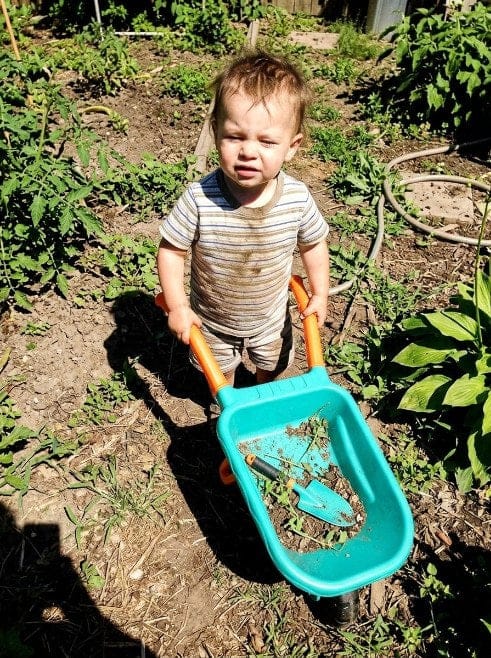 Customer photo review of Kinder Schubkarre Gartenspielzeug Set | Outdoor Gartenwerkzeug ab 3 Jahren