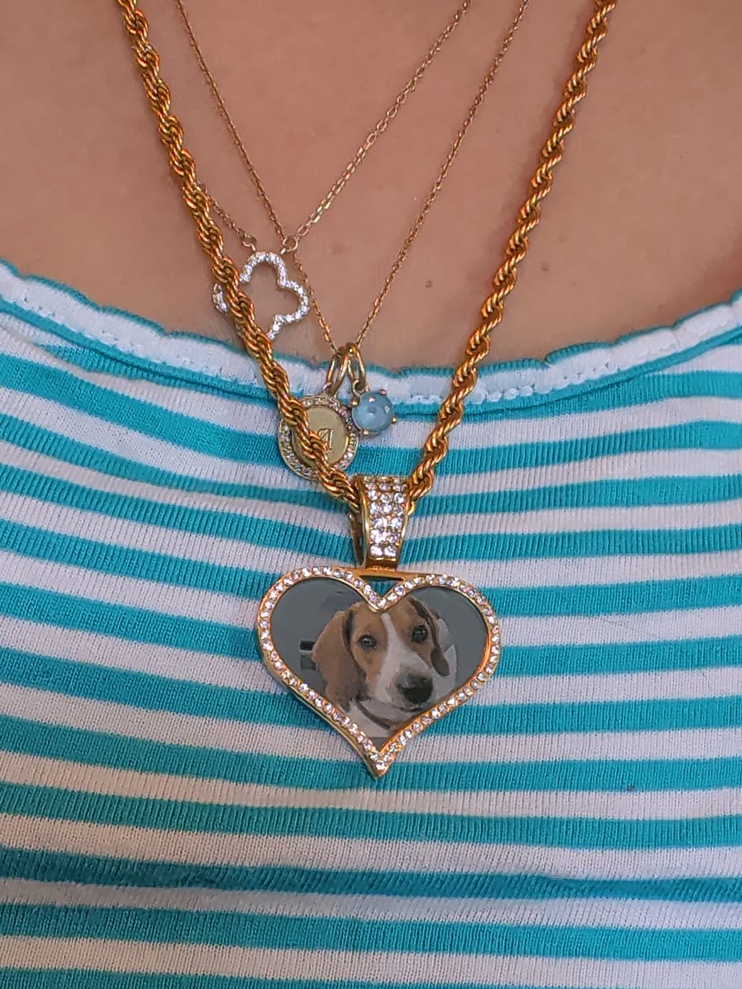 Customer photo review of Iced Photo Pendant w/ Rope Chain