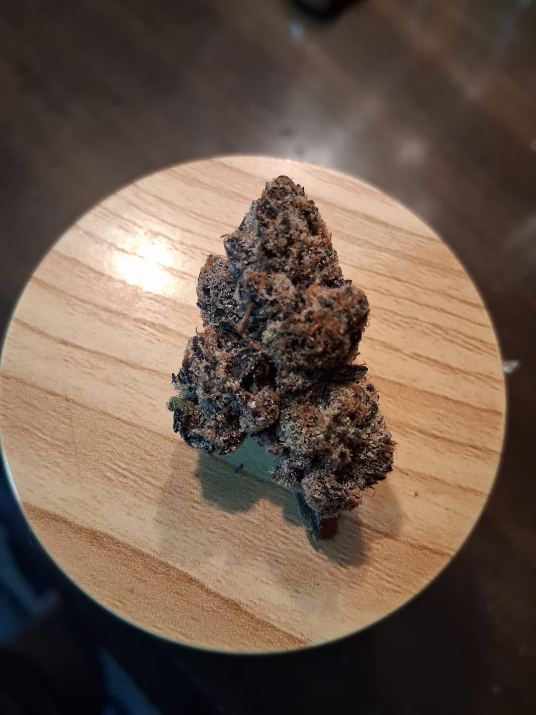 Customer photo review of Blue Lobster 17 Grams