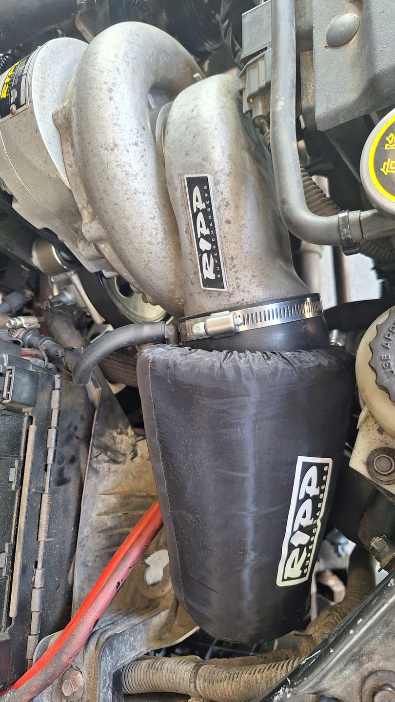 Customer photo review of Air Filter Sock for RIPP Supercharger Air Filters