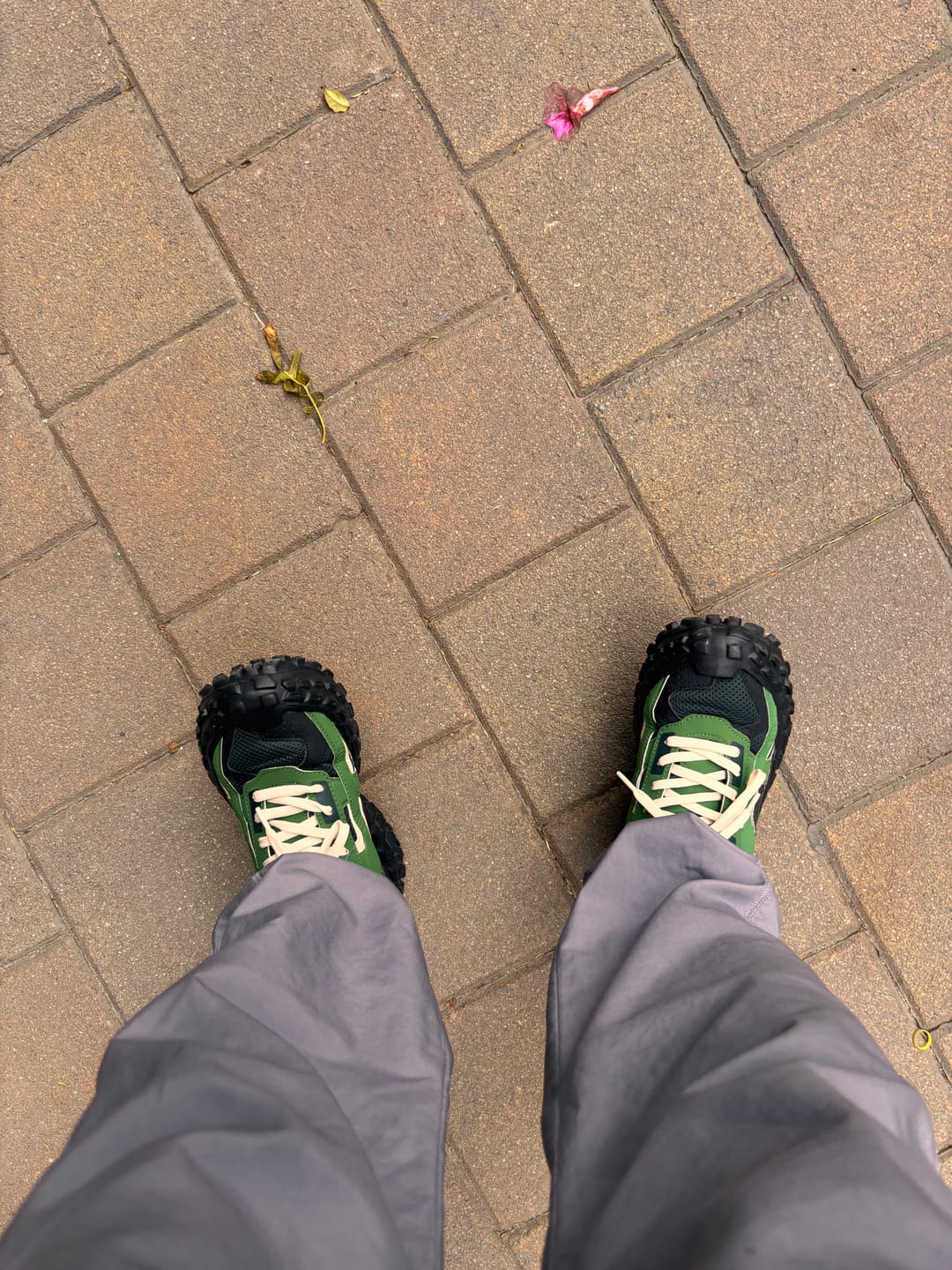Customer photo review of COLOSSUS