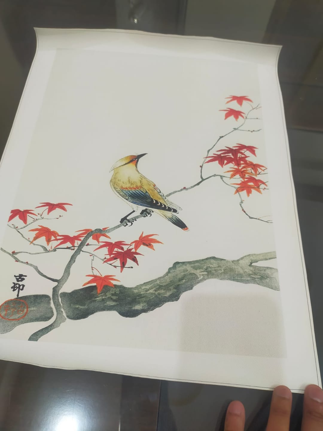 Customer photo review of Autumn Serenade