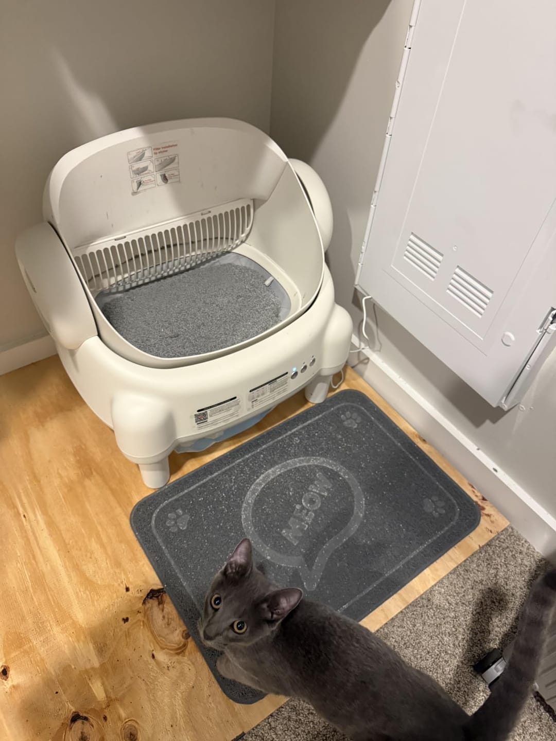 Customer photo review of CleanPaw Katzenklo Automatisch