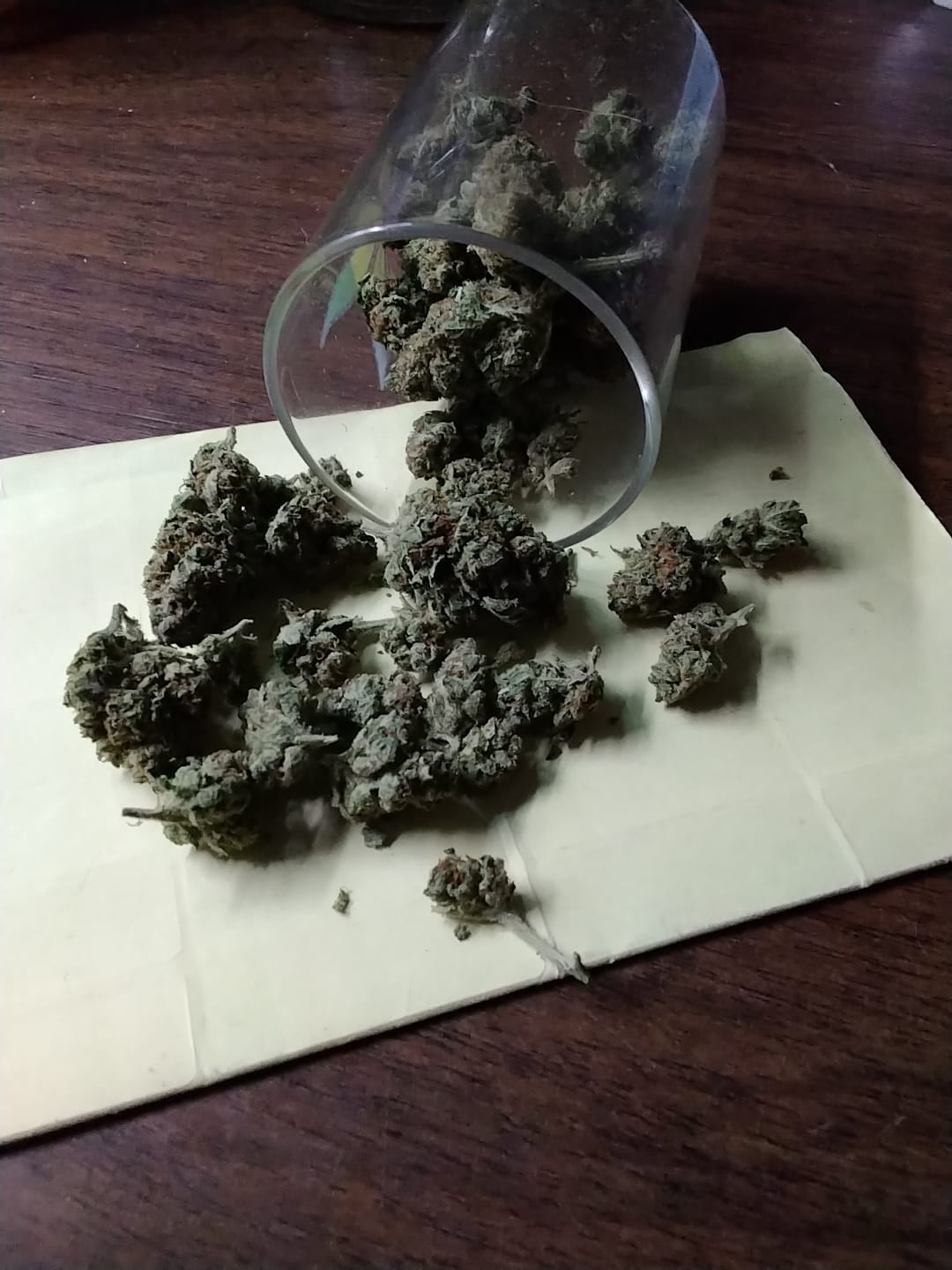 Customer photo review of THCA Queen