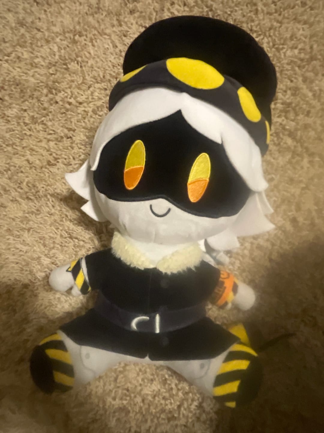 Customer photo review of N Plush
