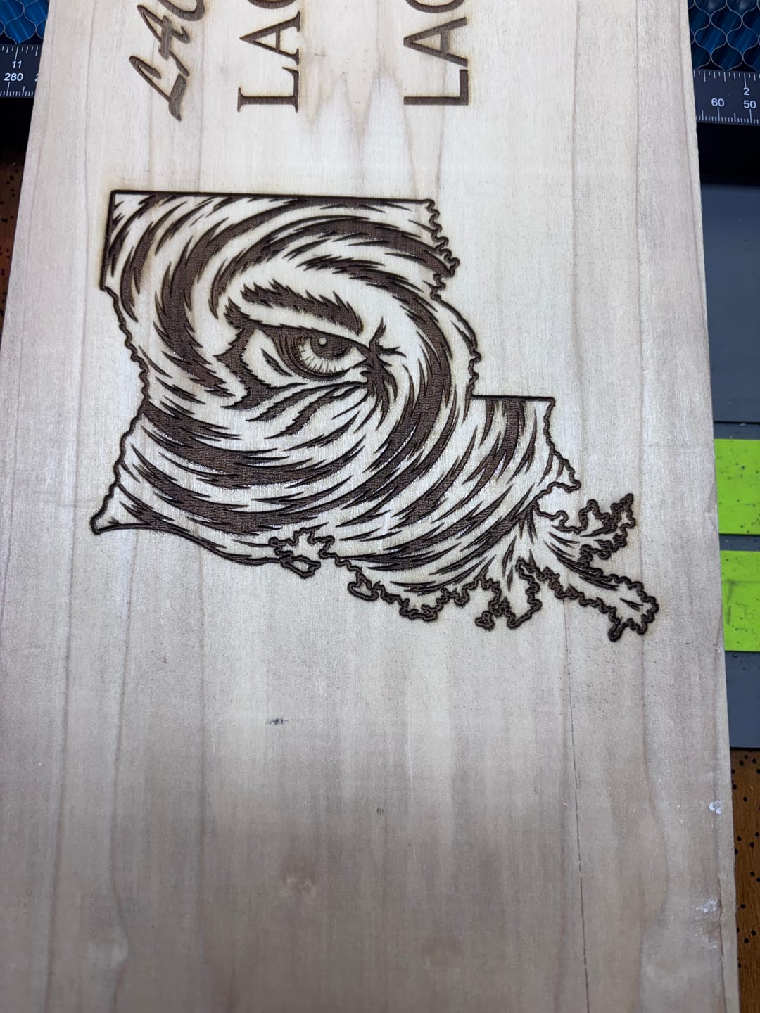 Customer photo review of Longer Ray5 Laser Engraver 5W/10W/20W