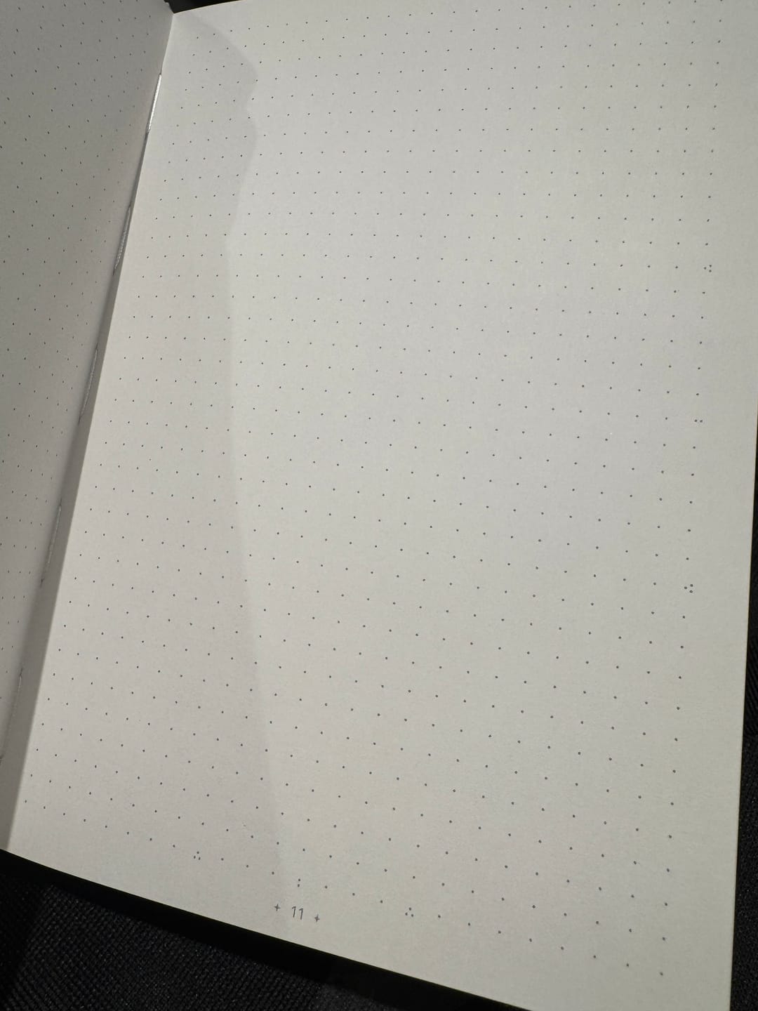 Customer photo review of Ohuhu Bleedproof Bullet Dotted Journal Notebook