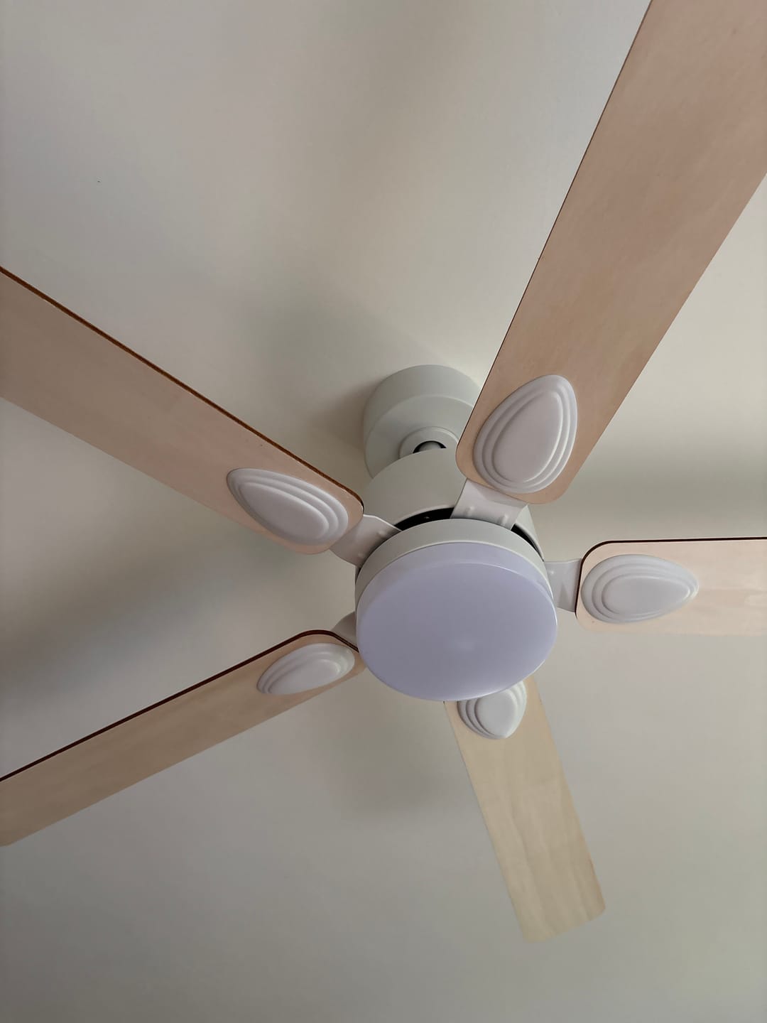 Customer photo review of Mistral | Ventilateur de plafond