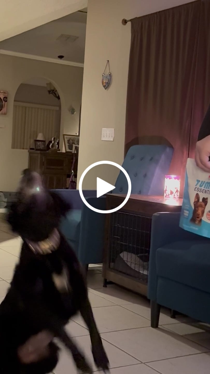 Customer video review of Tummy Essentials