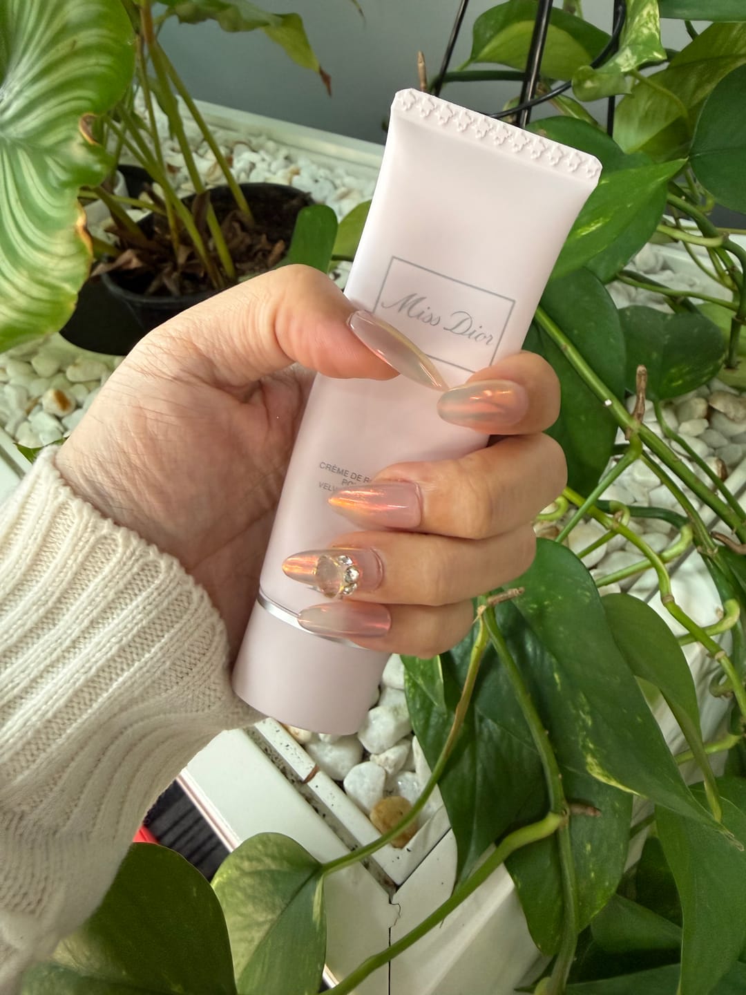 Customer photo review of Dreamlight