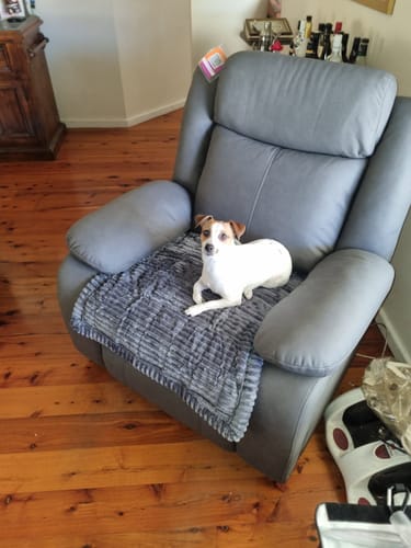 Customer photo review of Cosy Couch - Couch Cover