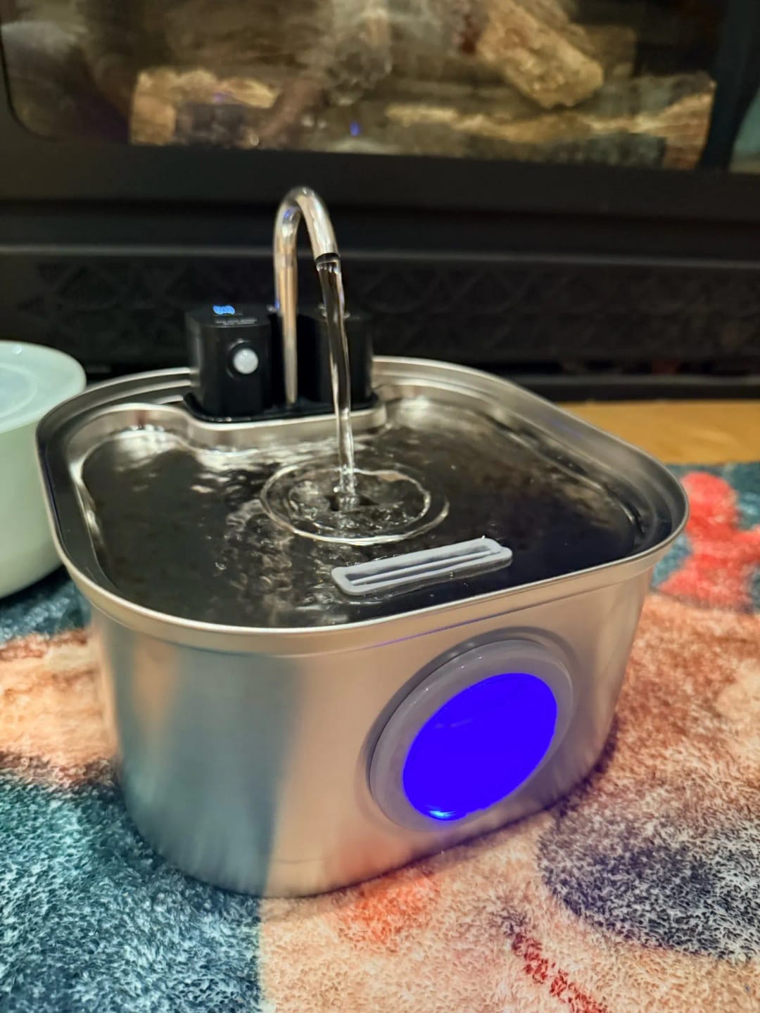 Customer photo review of 3.2L Pet Water Fountain – Wireless or Plug-In Options