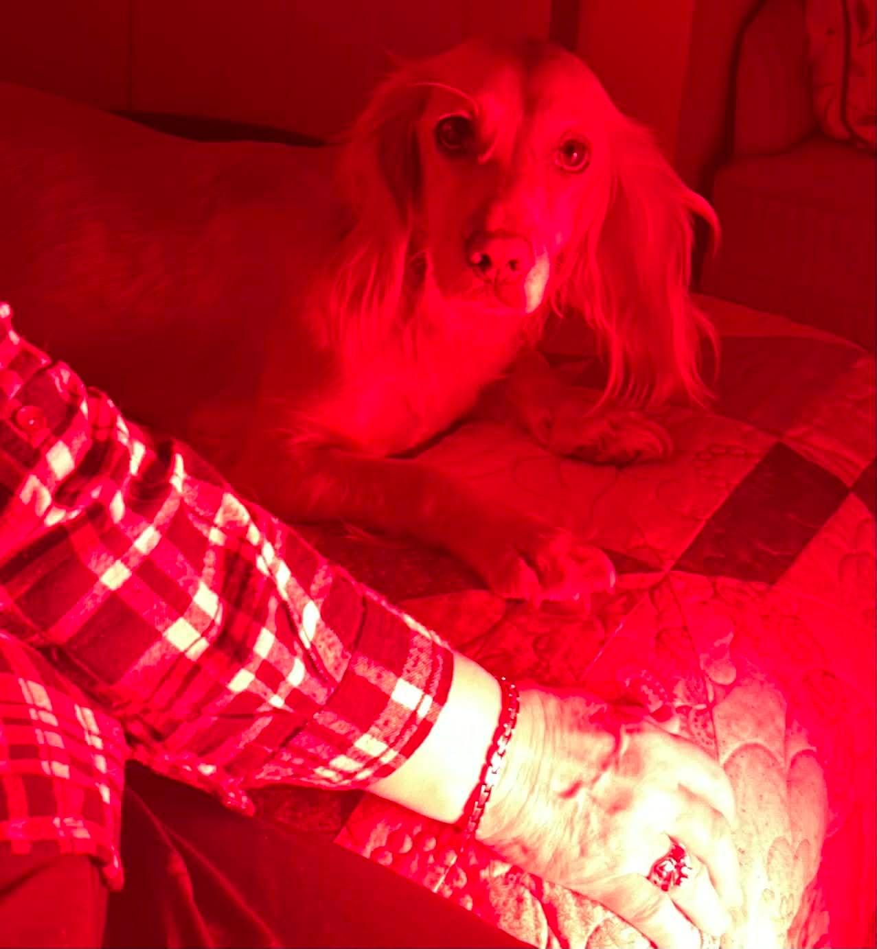Customer photo review of SOLO 2.0 Red Light Panel