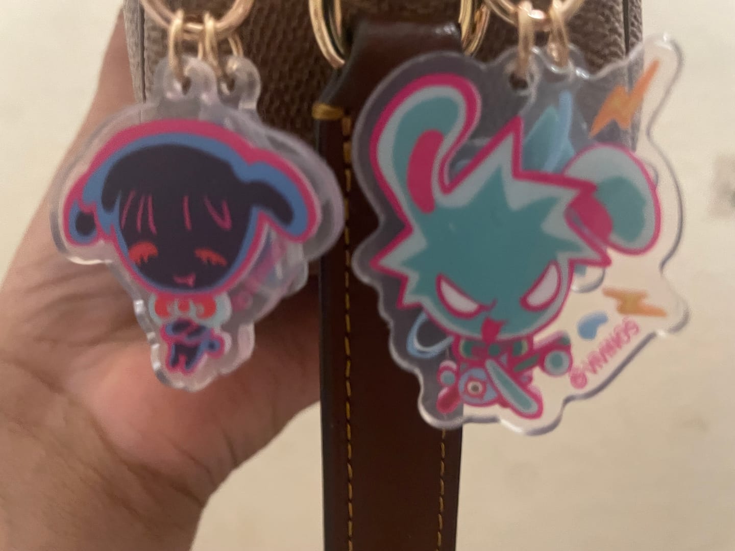 Customer photo review of Alien Stage Rabbit Series Acrylic Key Chain